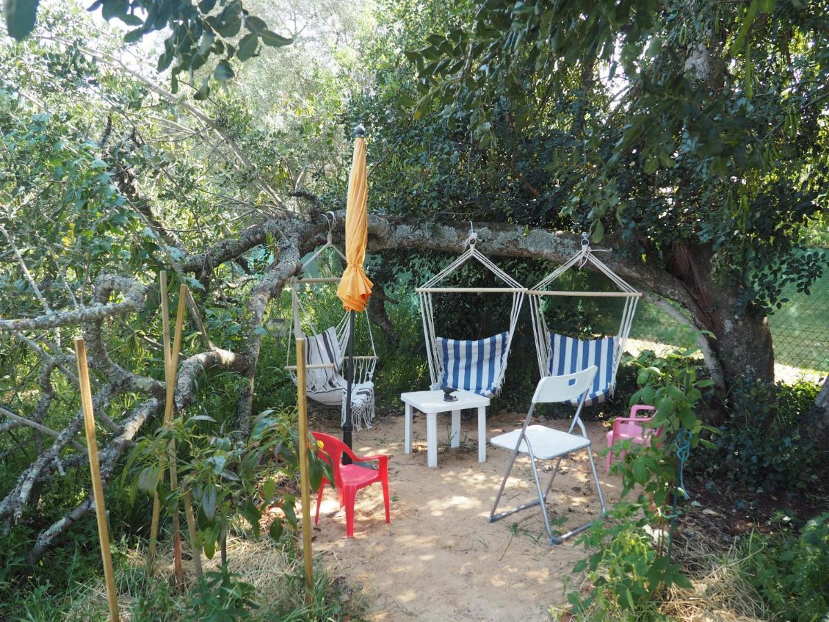 Tiny House Eco Resort Estevais Extérieur photo
