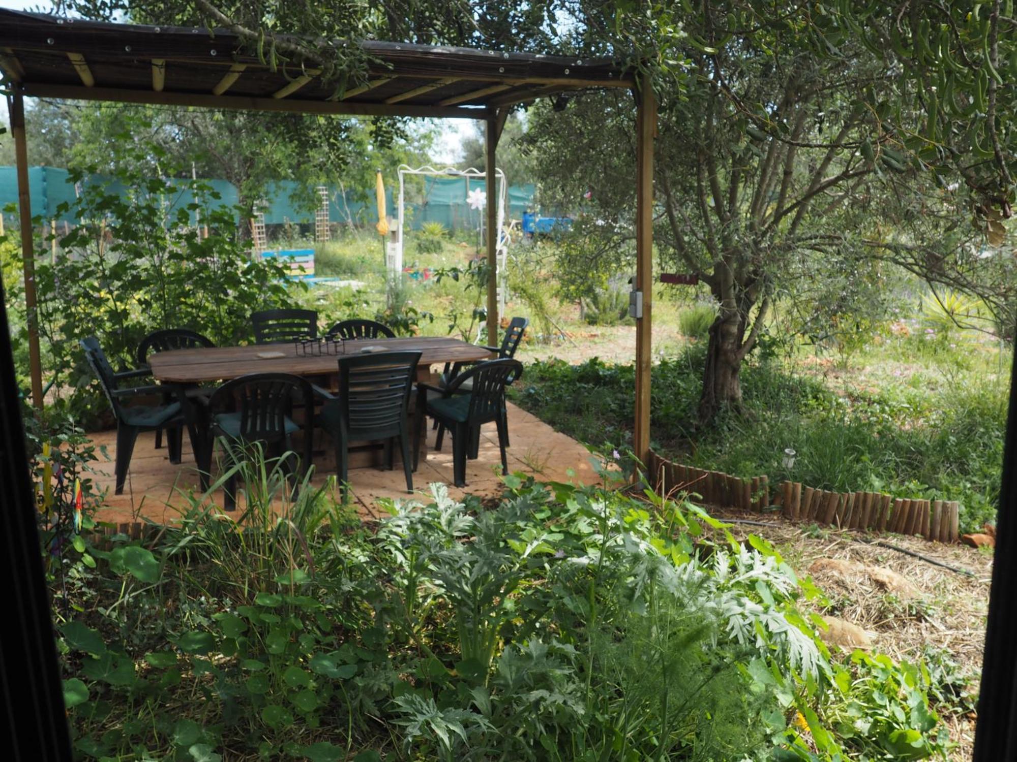 Tiny House Eco Resort Estevais Extérieur photo